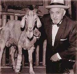 Chicago Cubs curse is attributed to Bill Sianis and his goat, pictured here.