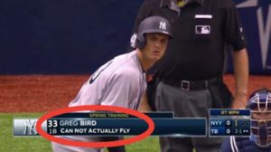 Greg Bird