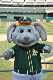 Image result for stomper