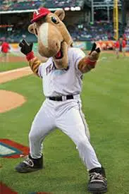 Image result for rangers captain mascot